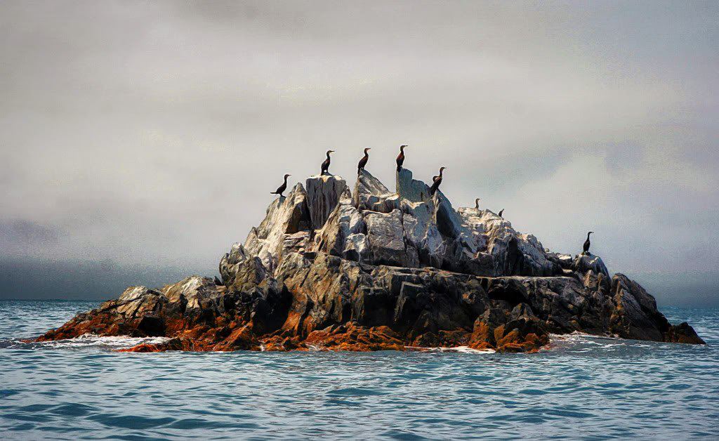 Заповедники Морские Фото
